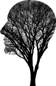 man-8057241_1280